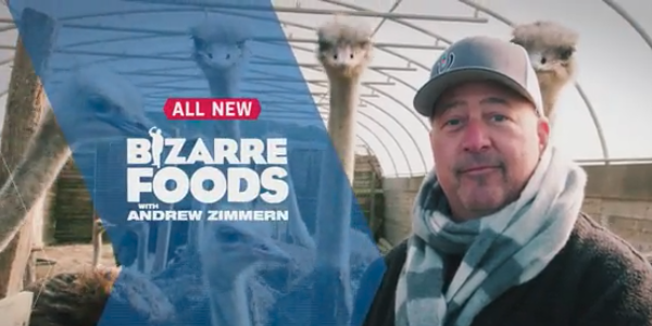 img_talks_tv_bizarre.png